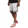 Spodenki Karl Kani Small Signature Pinstripe Mesh Short M 6014921