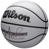 Piłka do koszykówki Wilson NBA Player Icon Uv Bskt Giannis WZ4030901XB