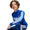 Dres adidas Seasonal Essentials Tiberio 3-Stripes Jr JC7518